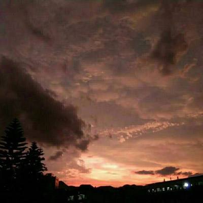 bob·体育综合app手机app下载